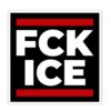 Anti-ICE Sticker, Political Protest, Immigration Rights