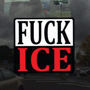 FUCK ICE Protest Car Magnet
